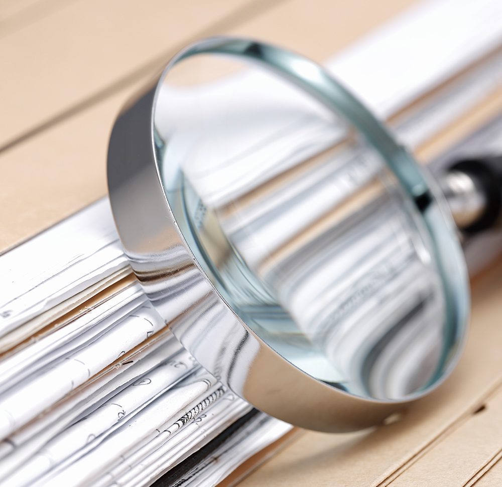 Audit Job Role